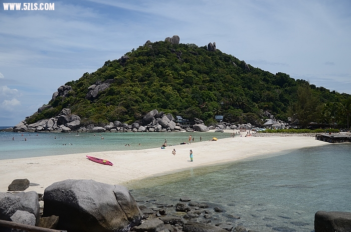 DSC_0915.jpg