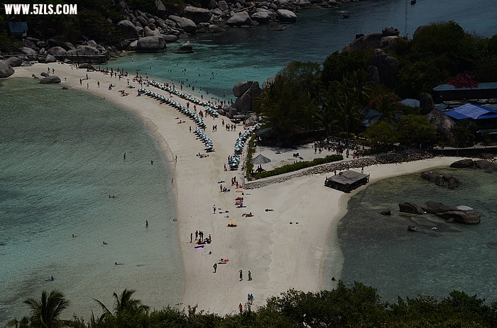DSC_0955.jpg