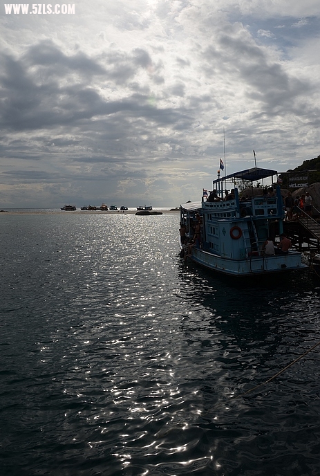 DSC_1007.jpg