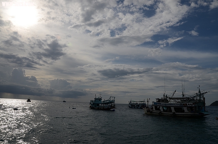 DSC_1013.jpg