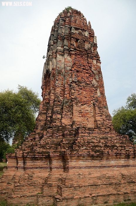 DSC_0105.jpg