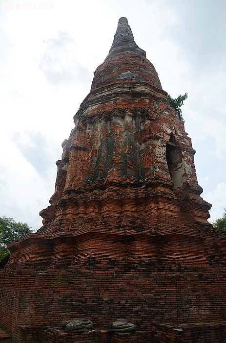 DSC_0084.jpg