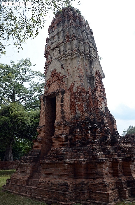 DSC_0102.jpg