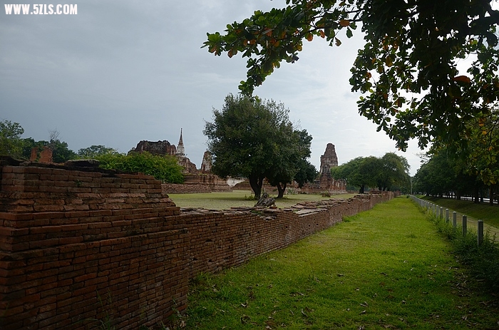 DSC_0239.jpg