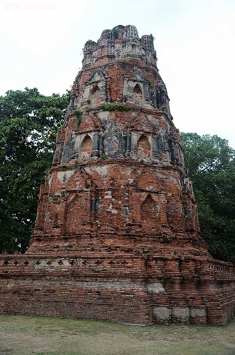 DSC_0259.jpg