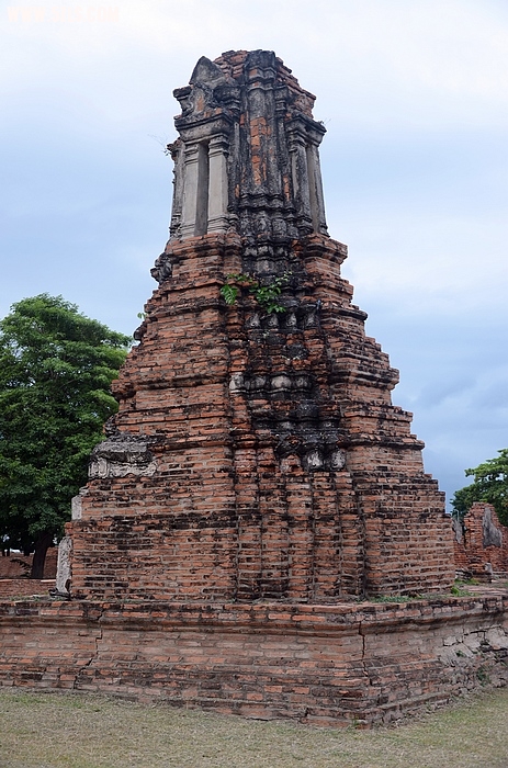 DSC_0017.jpg