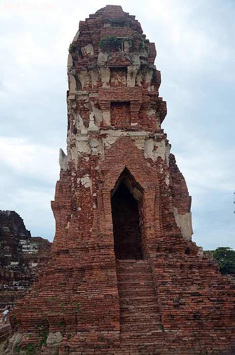 DSC_0155.jpg