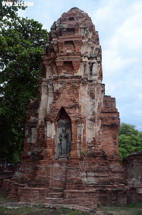 DSC_0110.jpg