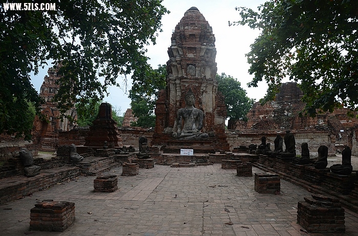 DSC_0117.jpg