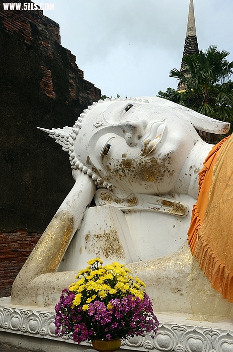 DSC_0244_nEO_IMG.jpg