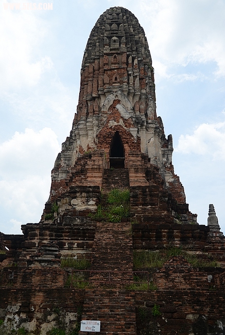 DSC_0334.jpg