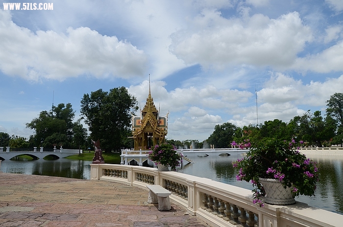 DSC_0771.jpg