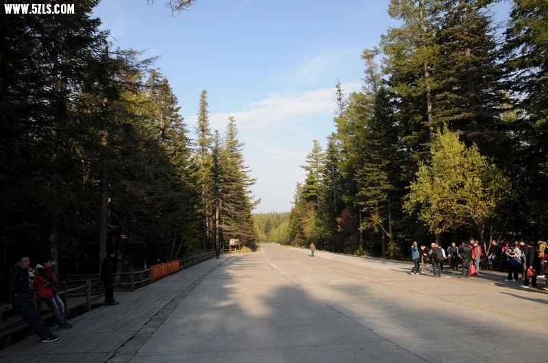 ɶ-2010.jpg