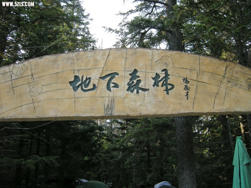 ɶ-2011.jpg