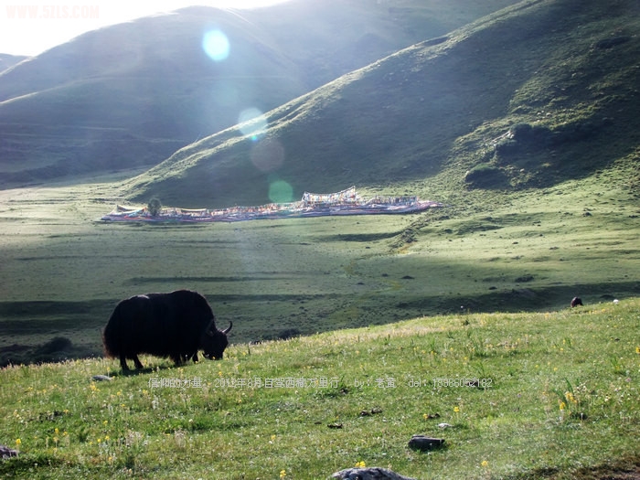 DSCF9162.JPG