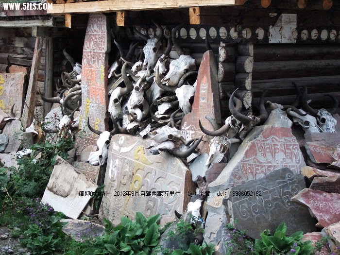 DSCF9515.JPG