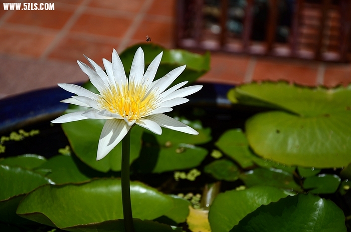 DSC_0932_nEO_IMG.jpg