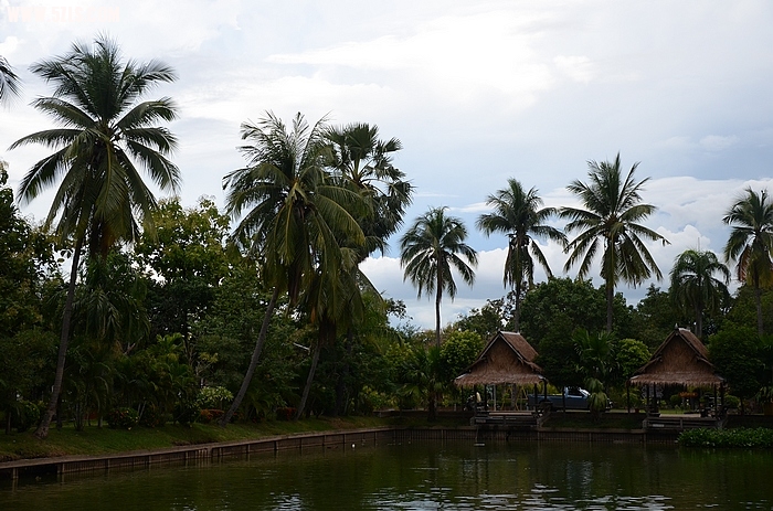 DSC_0050.jpg