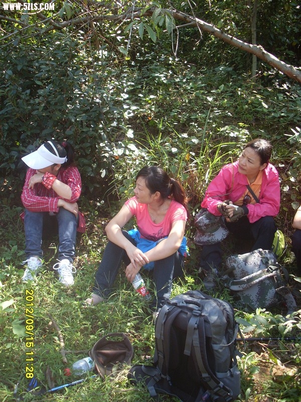 psbCAFPVD49.jpg