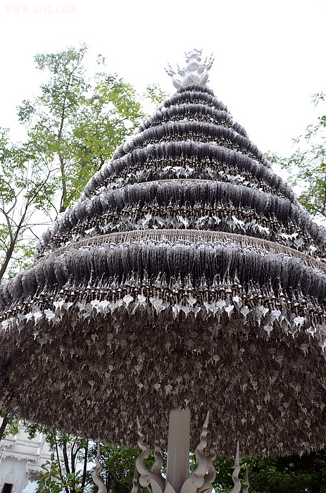 DSC_0368_nEO_IMG.jpg
