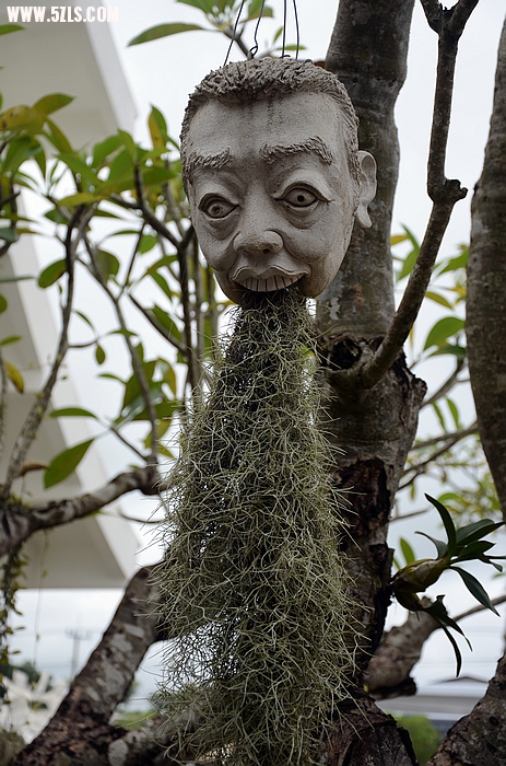 DSC_0383_nEO_IMG.jpg