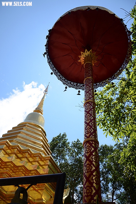 DSC_0431.jpg