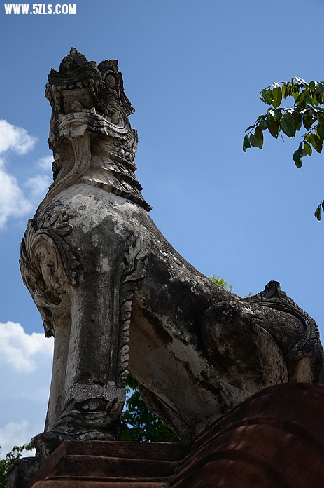 DSC_0449.jpg