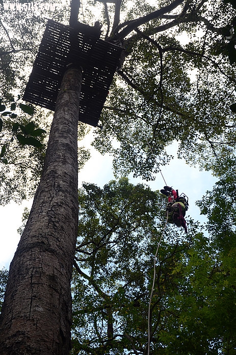 DSC_0608.jpg