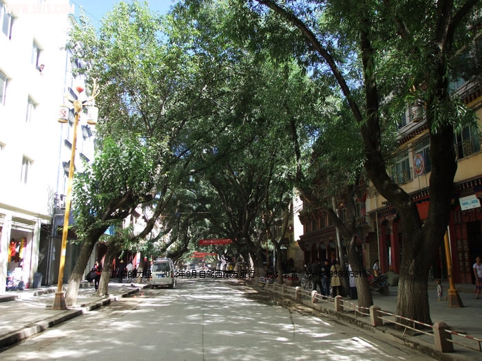 DSCF9602.JPG