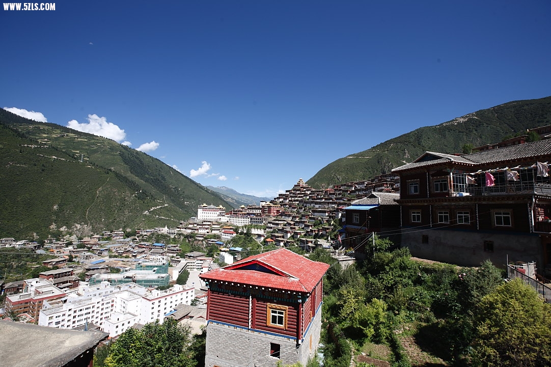 _MG_0469.JPG