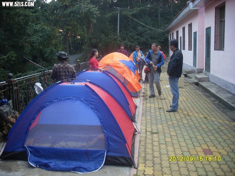 SL389710.JPG
