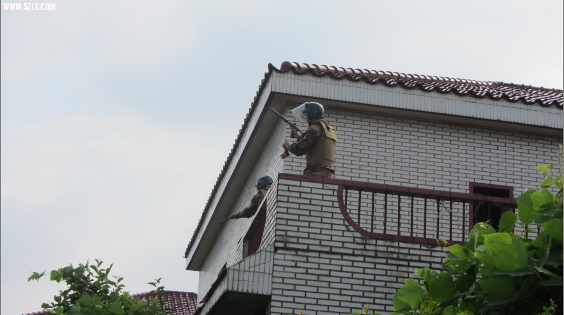 24.jpg