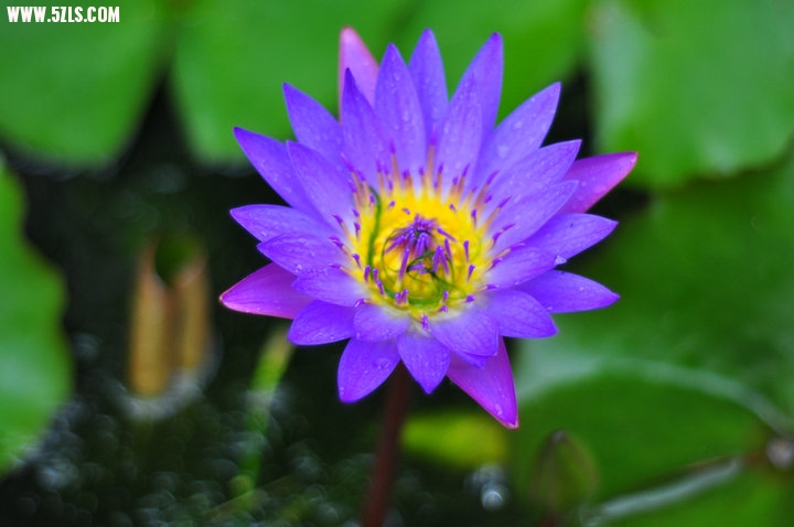 nEO_IMG_DSC_0056.jpg