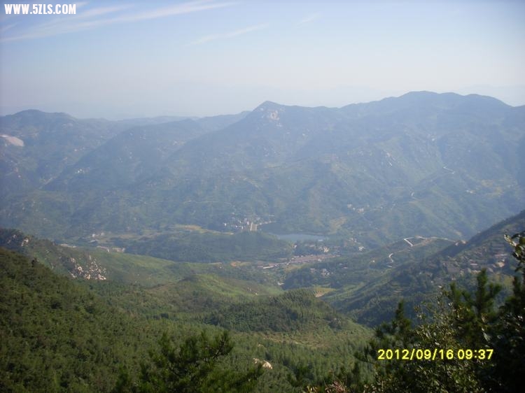 SL389748.JPG