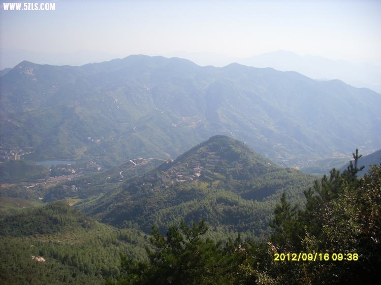 SL389750.JPG