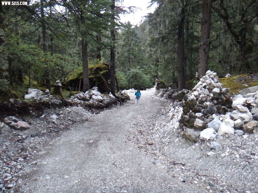 DSC00971A.jpg