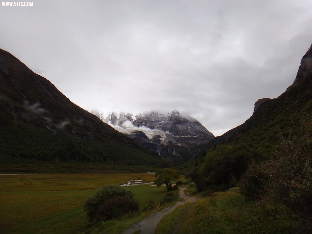 DSC01010A.jpg