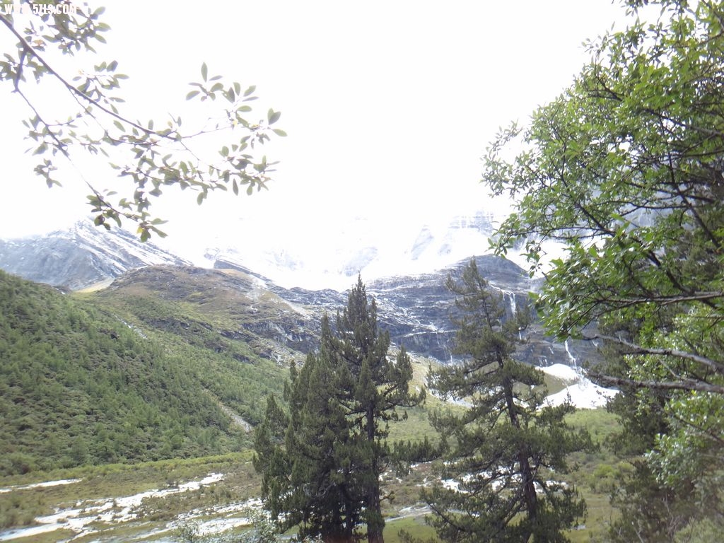 DSC01043A.jpg