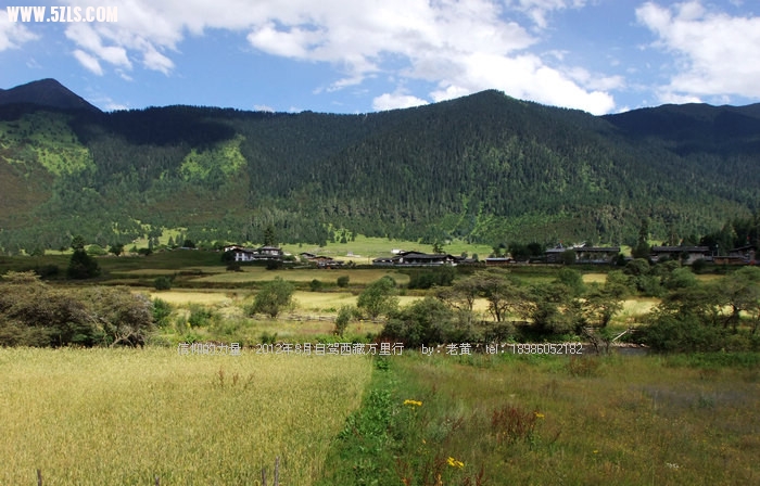 DSCF1107.JPG