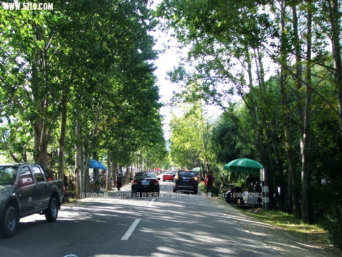 DSCF1171.JPG