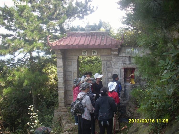 SL389755.JPG