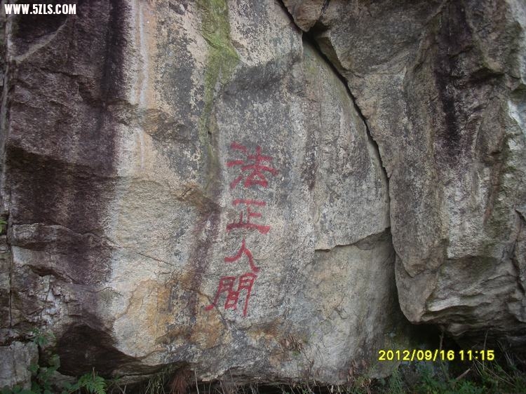 SL389769.JPG