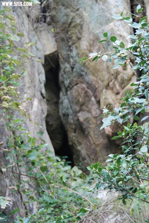 DSC_0654.JPG