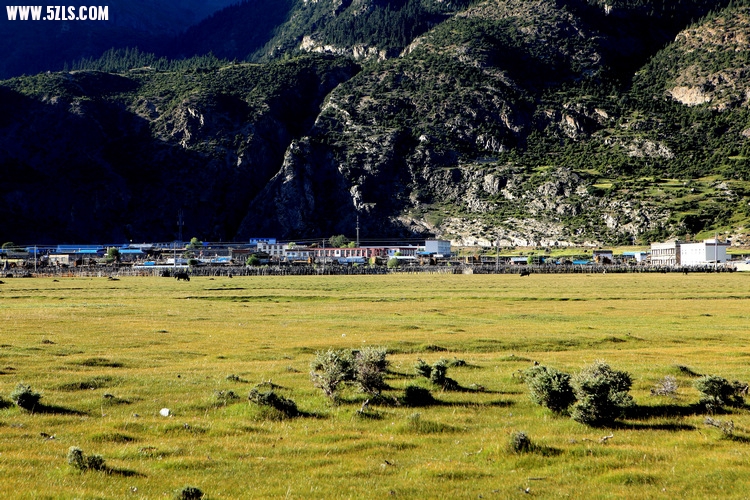 _MG_8424.JPG