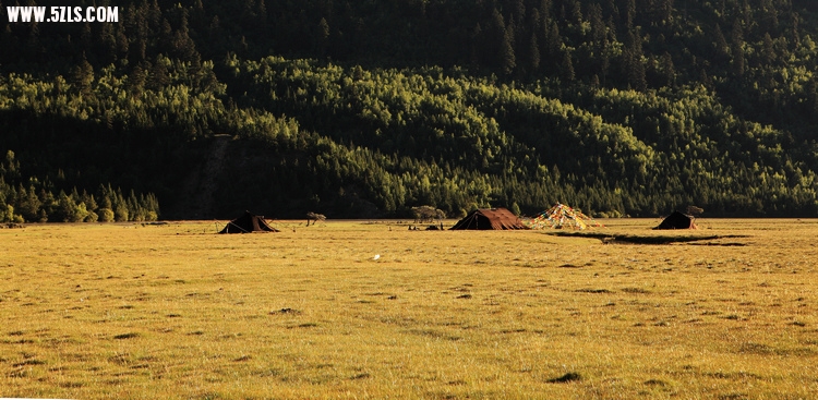 _MG_8439.JPG