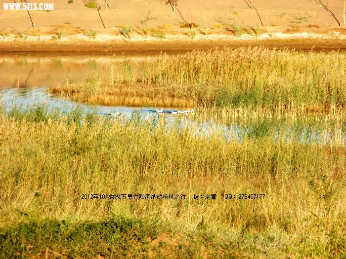 DSCF6194.JPG