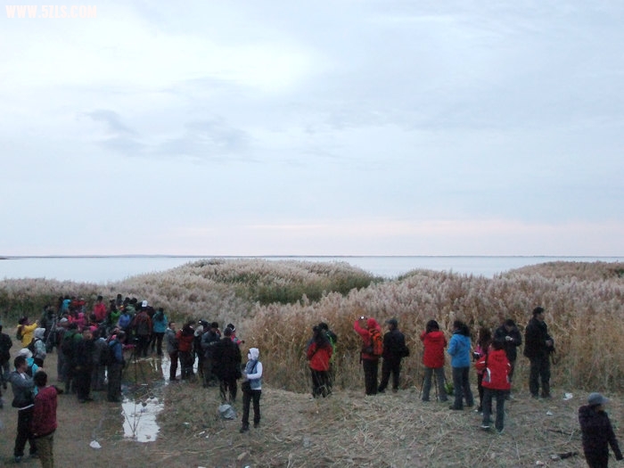 DSCF6384.JPG