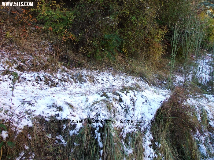 DSCF6641.JPG