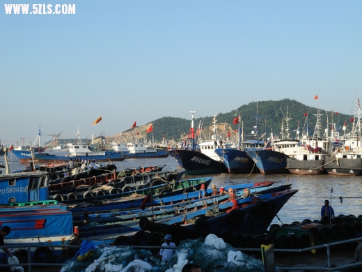 DSCN1561.jpg