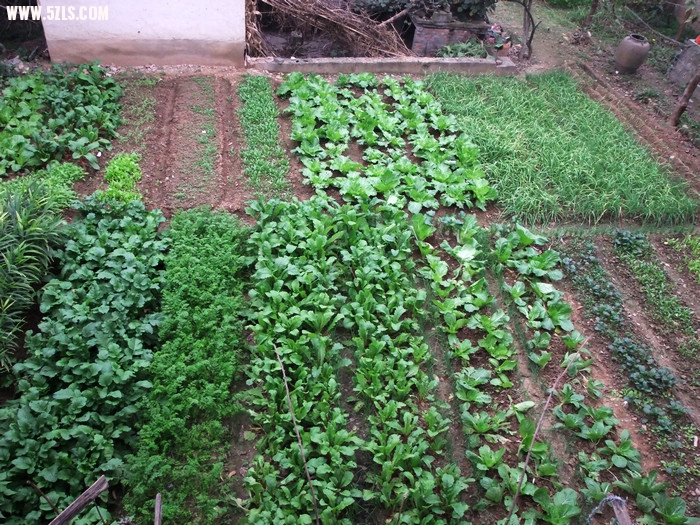 DSCF6889.JPG